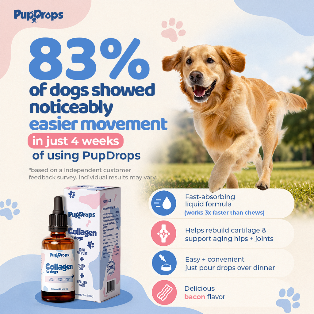 Liquid Collagen for Dogs by Pupdrops