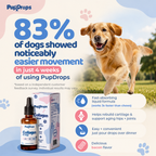 Liquid Collagen for Dogs by Pupdrops