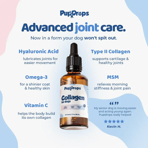 Liquid Collagen for Dogs by Pupdrops