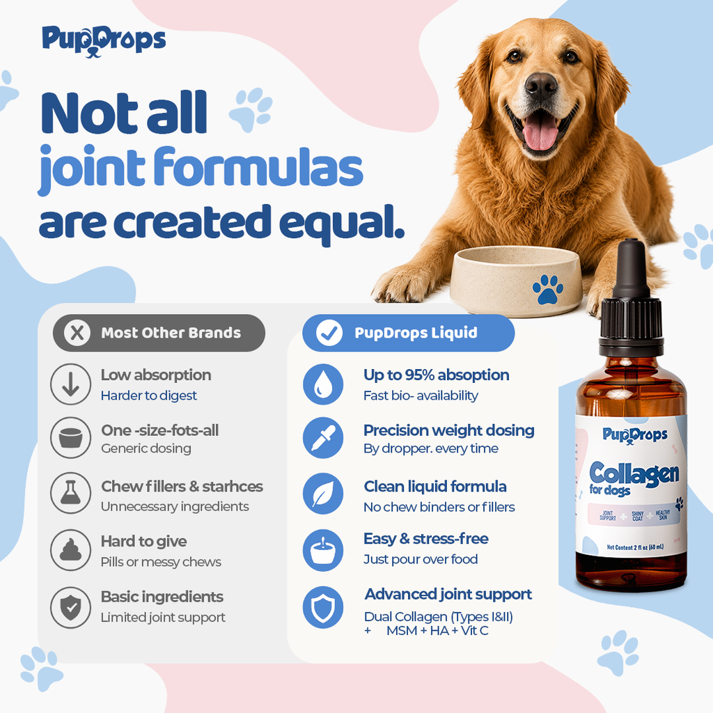 Liquid Collagen for Dogs by Pupdrops