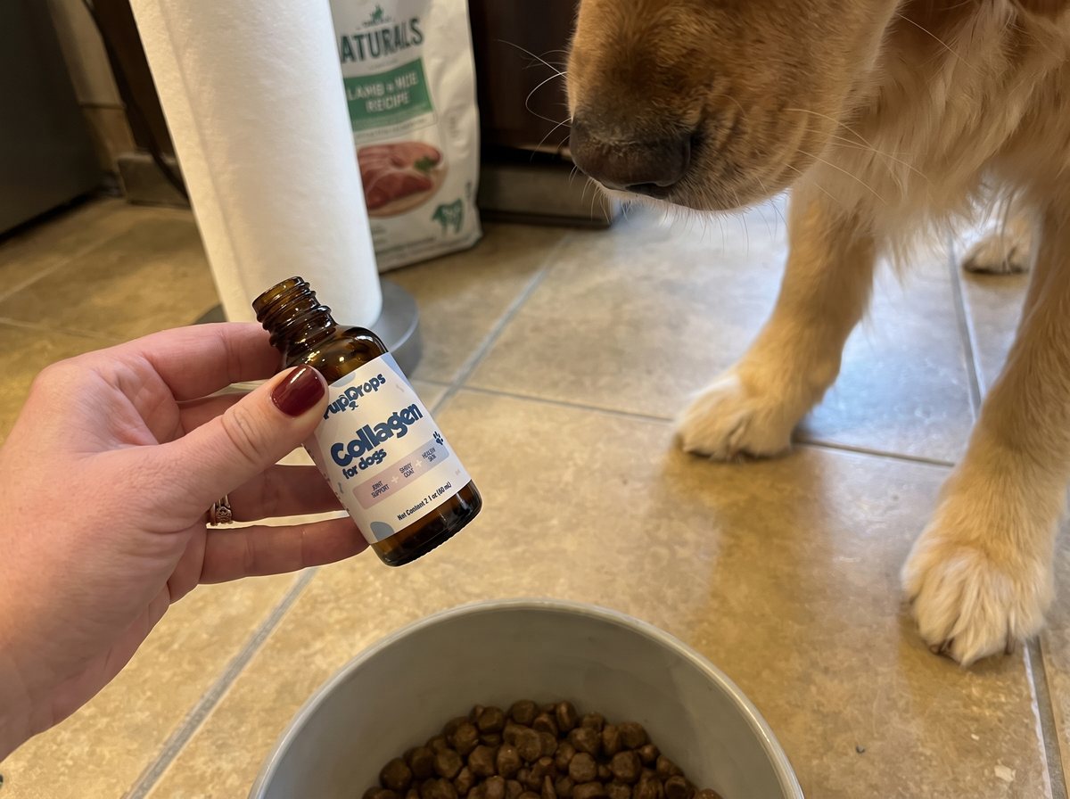 Adding a dropper of PupDrops Liquid Collagen to a bowl of kibble