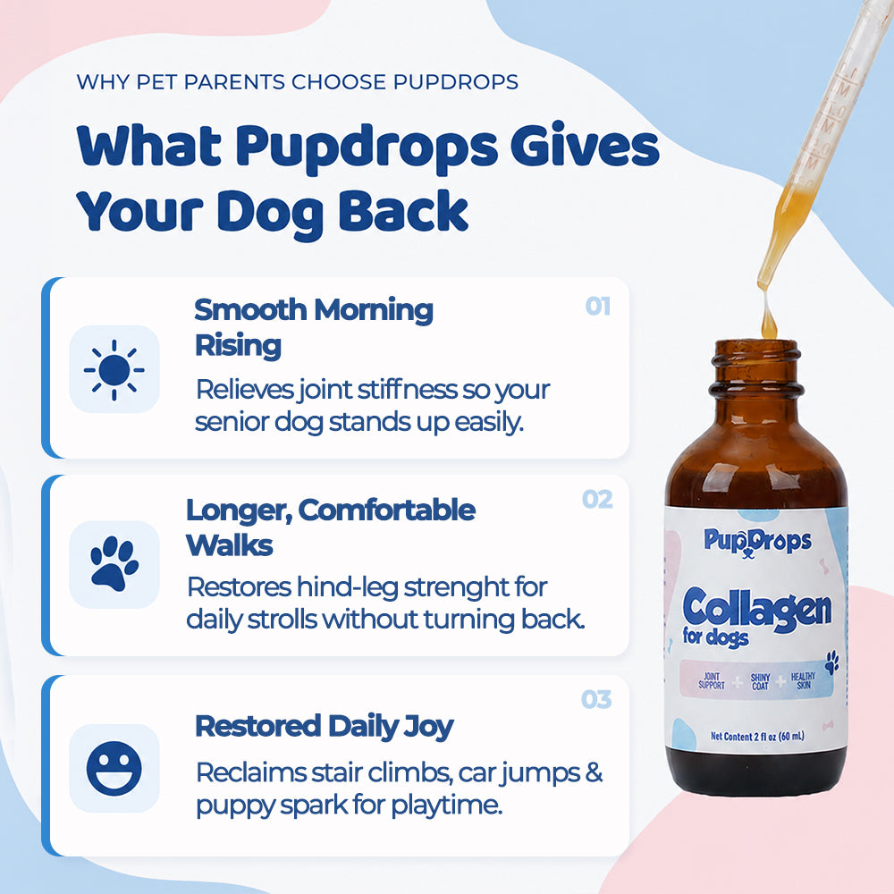 Liquid Collagen for Dogs by Pupdrops