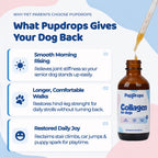 Liquid Collagen for Dogs by Pupdrops